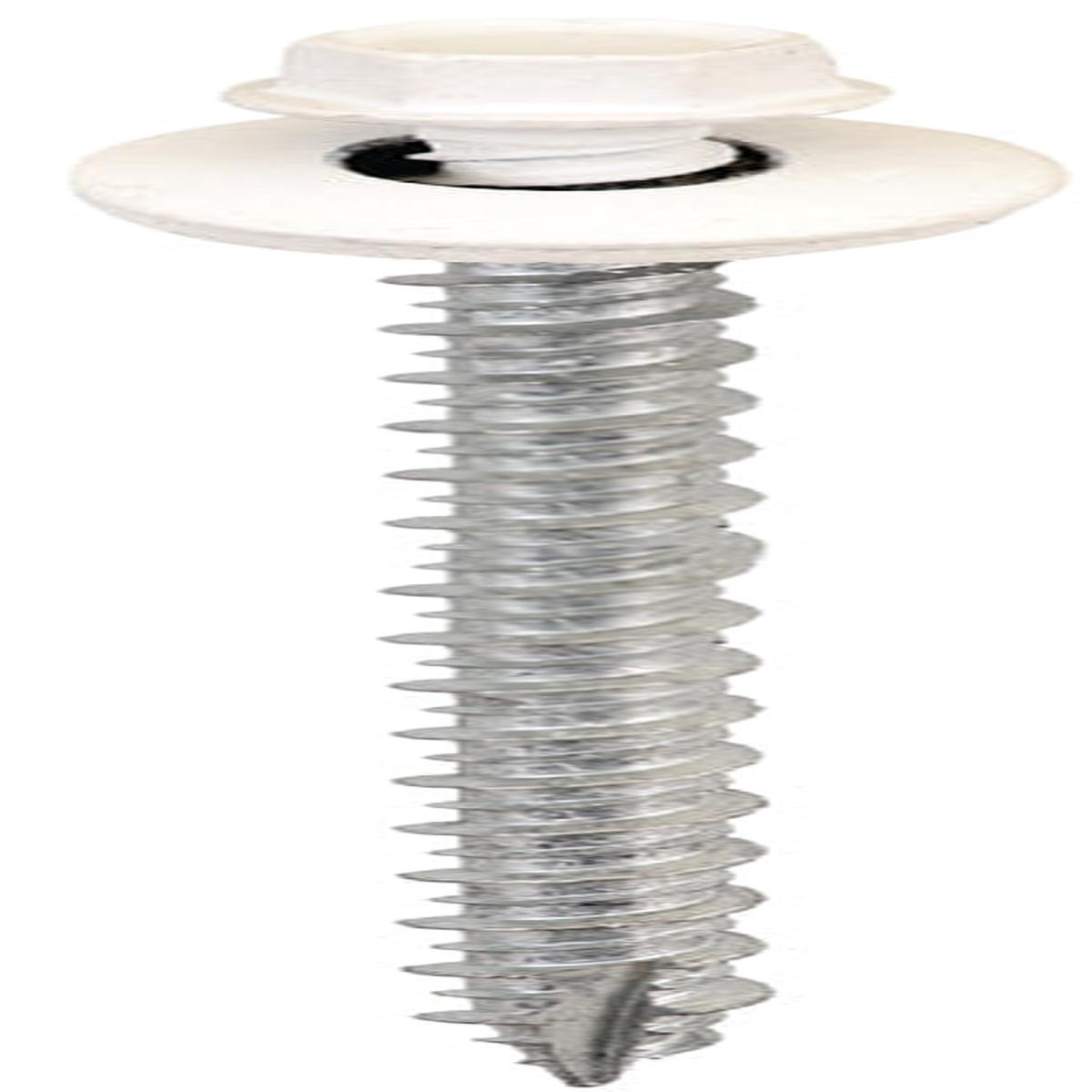Acorn International SW-MW3W250 Screw, White, High-Low, Twin Lead Thread, Hex Drive, Self-Tapping, Type 17 Point, 250/BAG