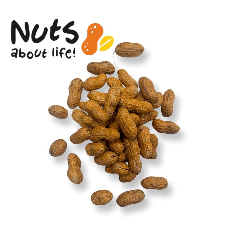 Roasted Peanuts (In Shell)