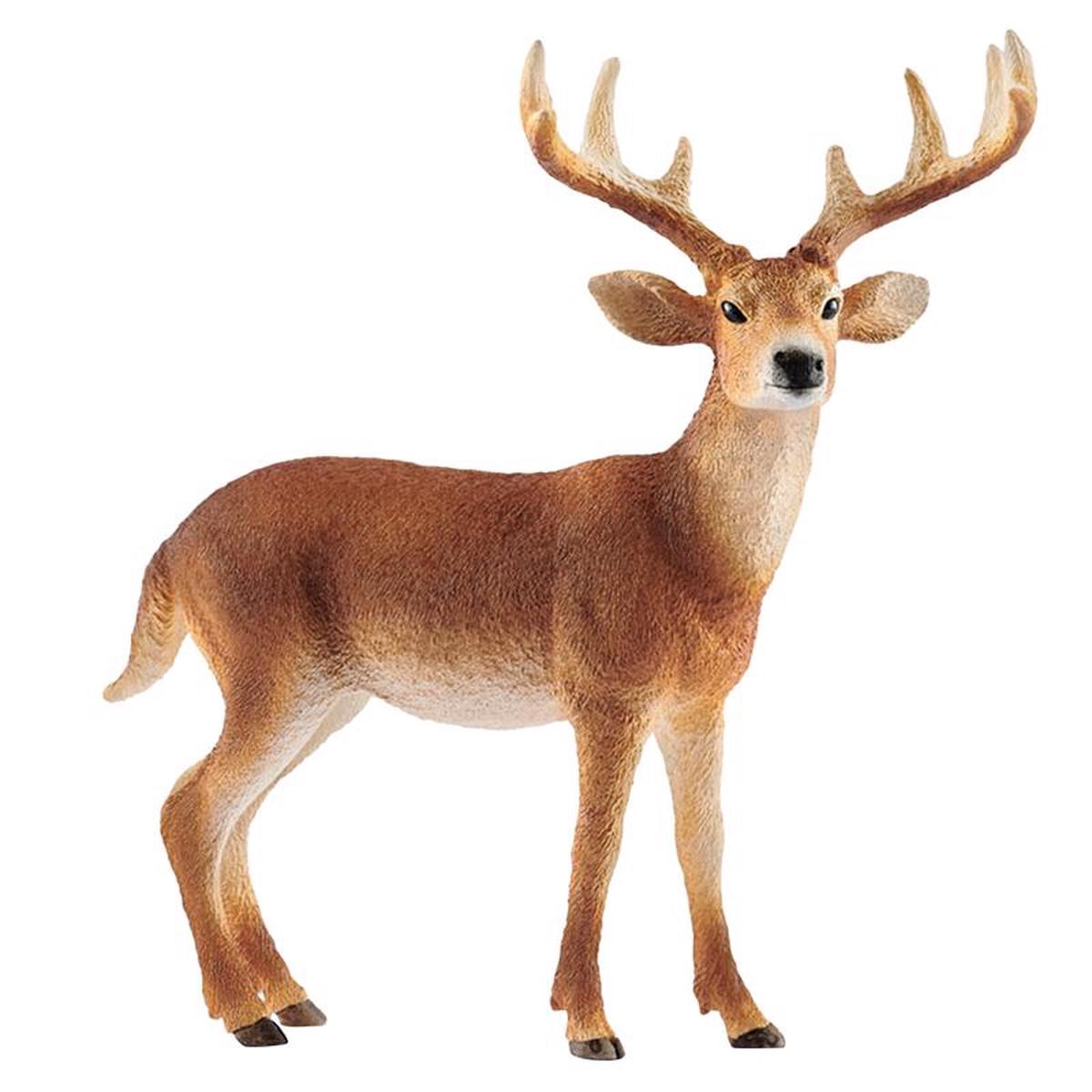 Schleich Wild Life White Tailed Buck Deer Toy Brown, Pack of 5