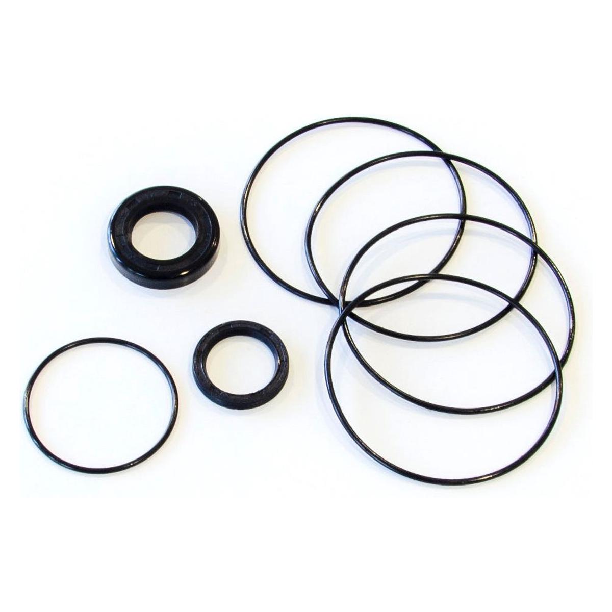Trale Orbital Motor Seal Kit OMM - Sparex Part S.153118