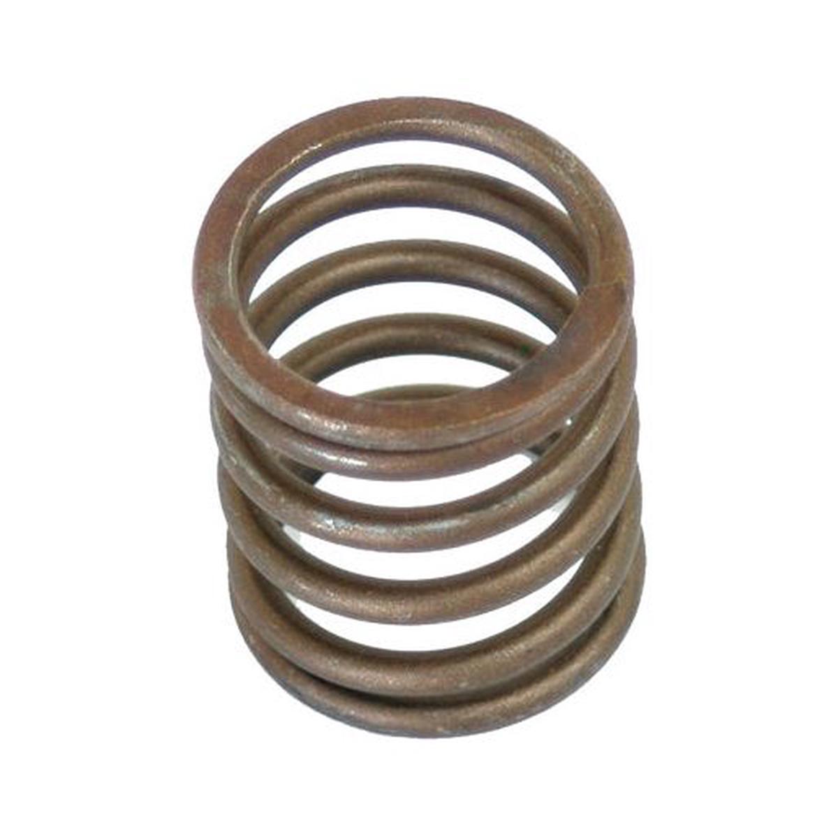 Valve Spring - Outer - Sparex Part S.30015