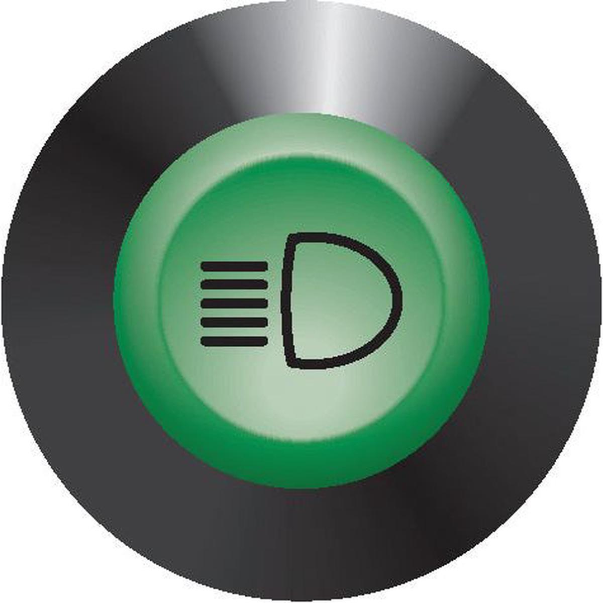Worklight Switch - Sparex Part S.52809