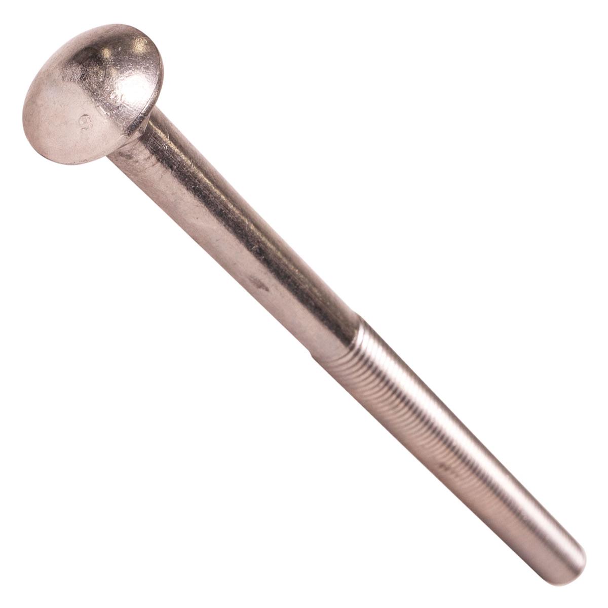 Conquest 5/8" x 10" Carriage Bolt - 316 Stainless Steel | Qty. 30 (Carton)