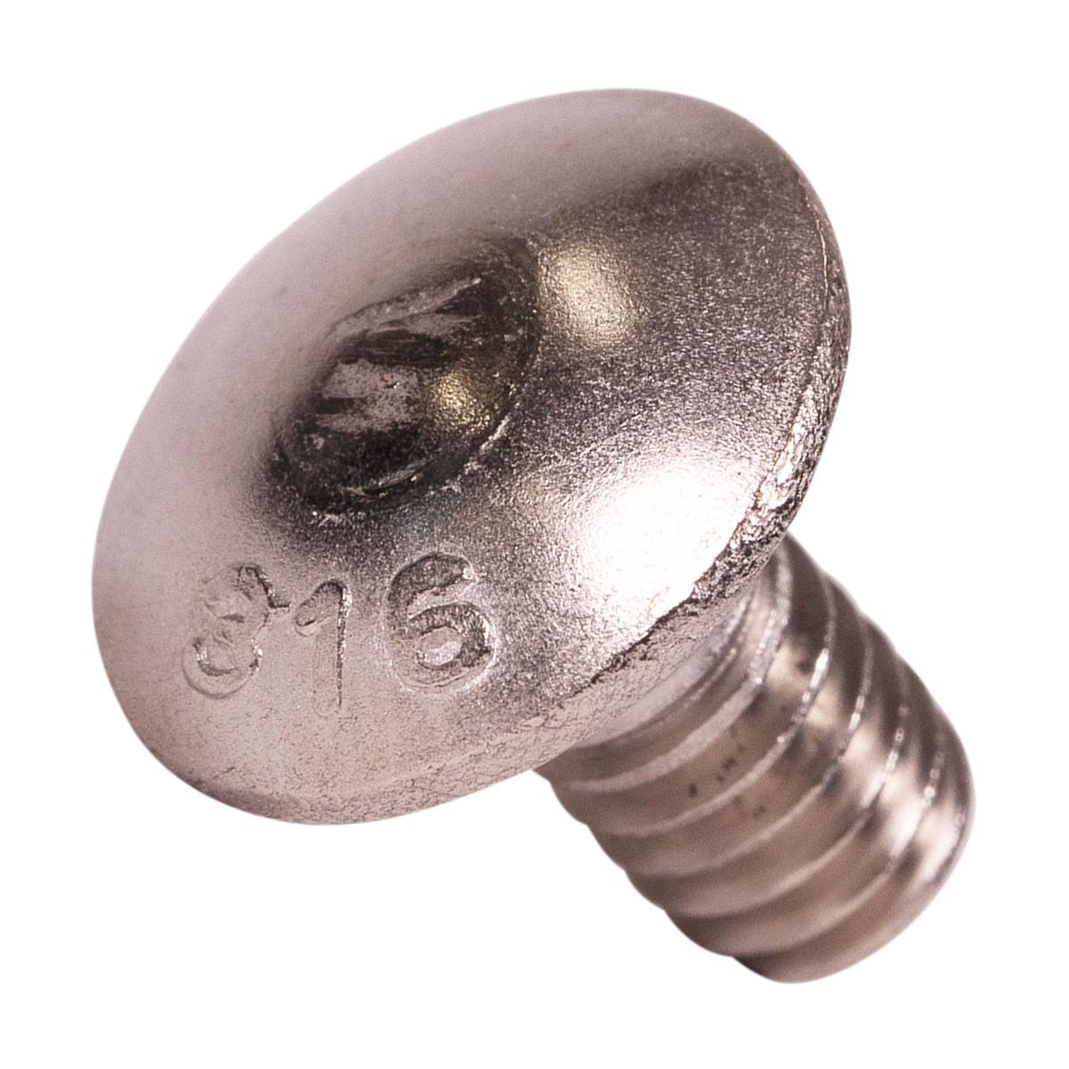 Conquest 1/4" x 1/2" Carriage Bolt - 316 Stainless Steel | Qty. 2,000 (Carton)