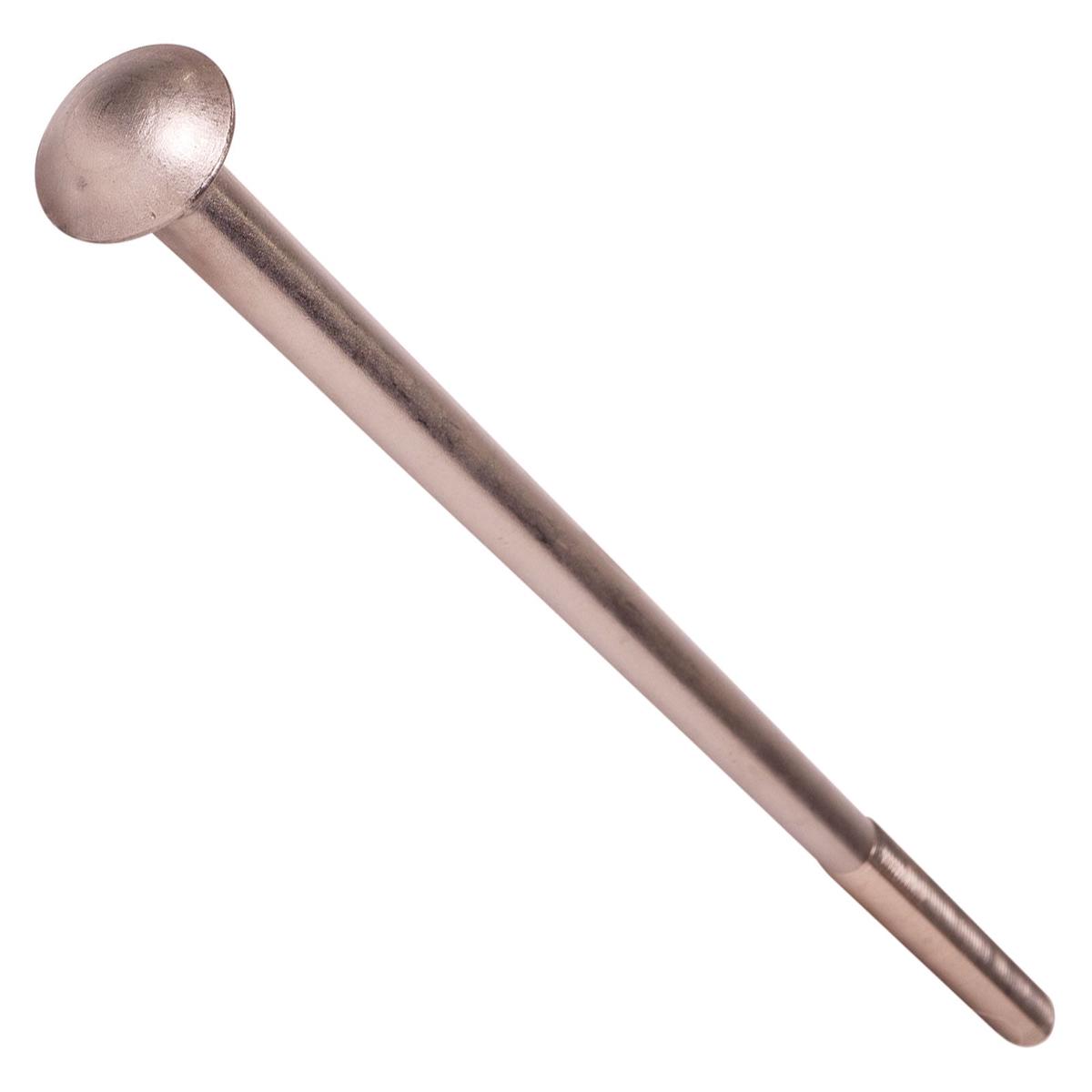 Conquest 3/4" x 20" Carriage Bolt - 18-8 Stainless Steel