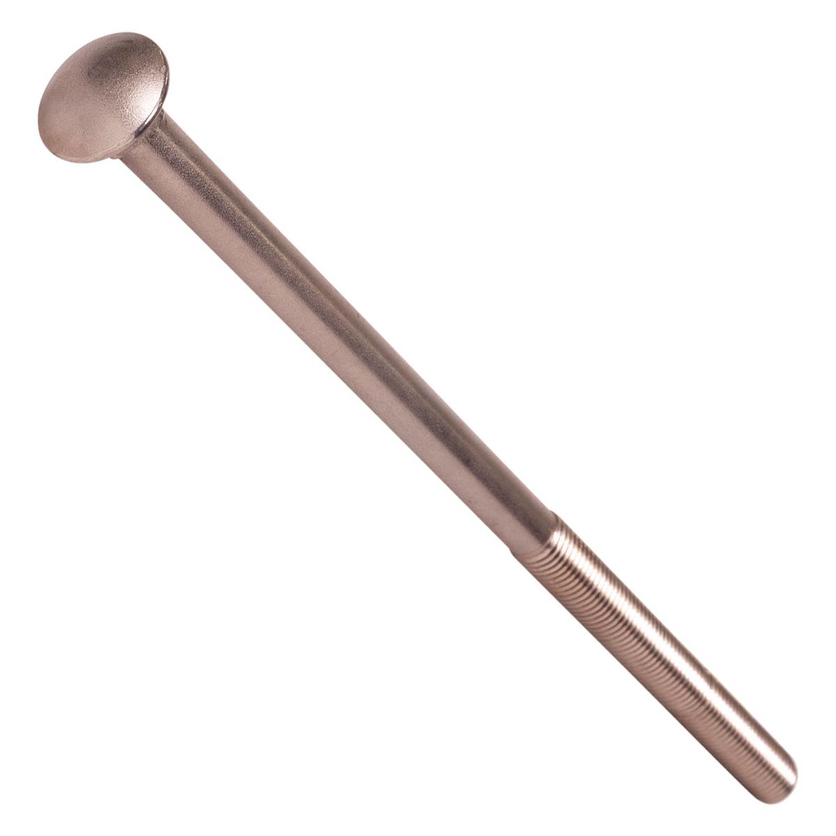 Conquest 5/8" x 14" Carriage Bolt - 18-8 Stainless Steel