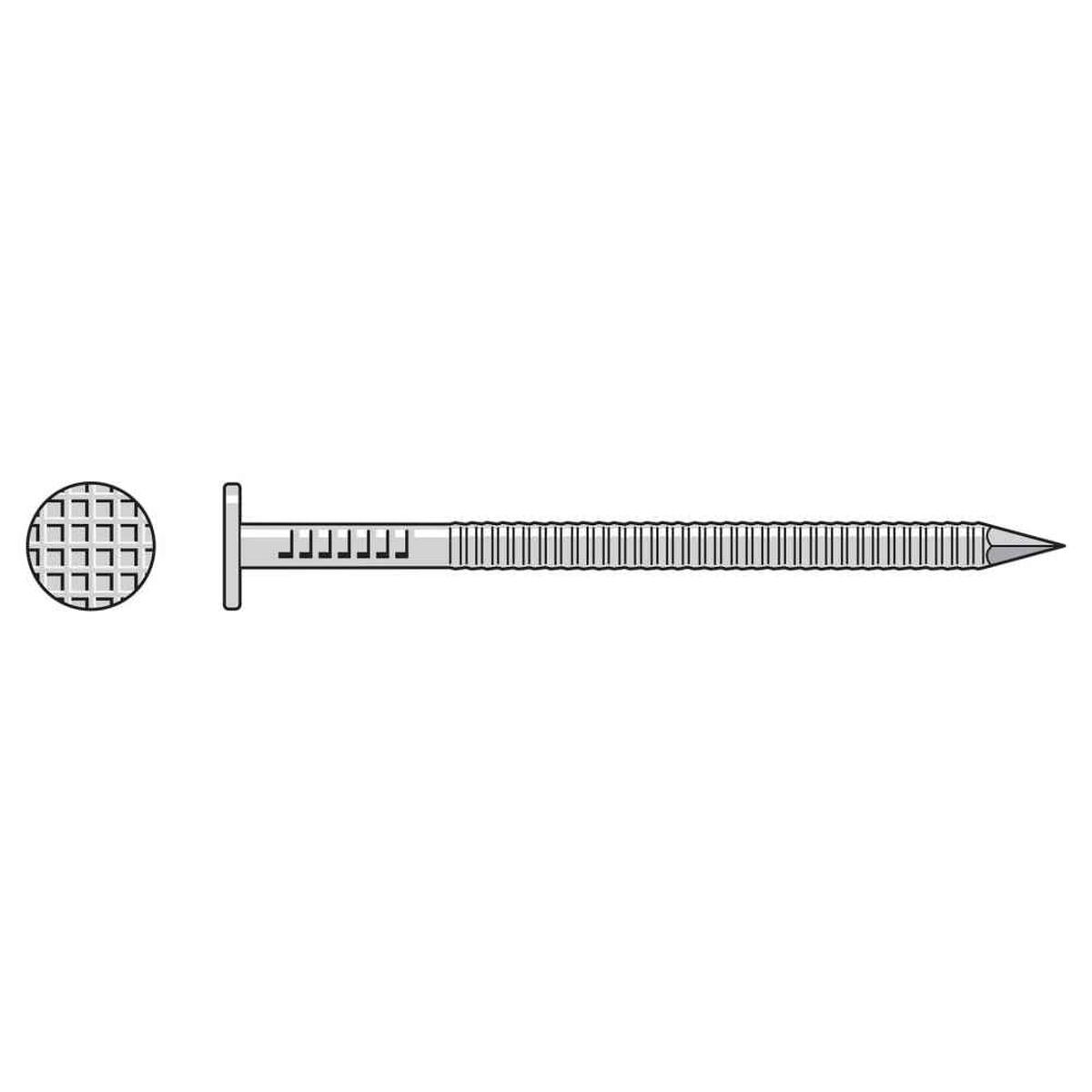 8D (2-1/2") Wood Siding Nail - 304 Stainless Steel, 1 lb. Pkg