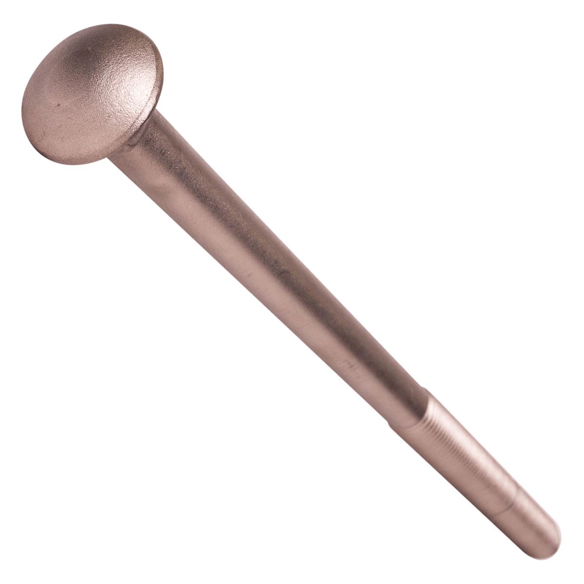Conquest 3/4" x 14" Carriage Bolt - 18-8 Stainless Steel