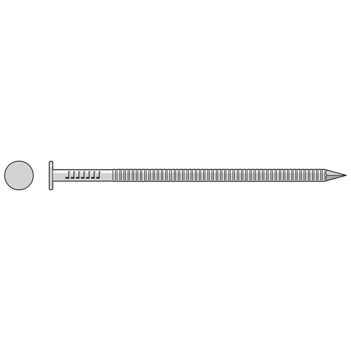 3-1/2" - 8 Gauge Annular Ring Shank Common Nail - 304 Stainless Steel, 5 lb. Pkg