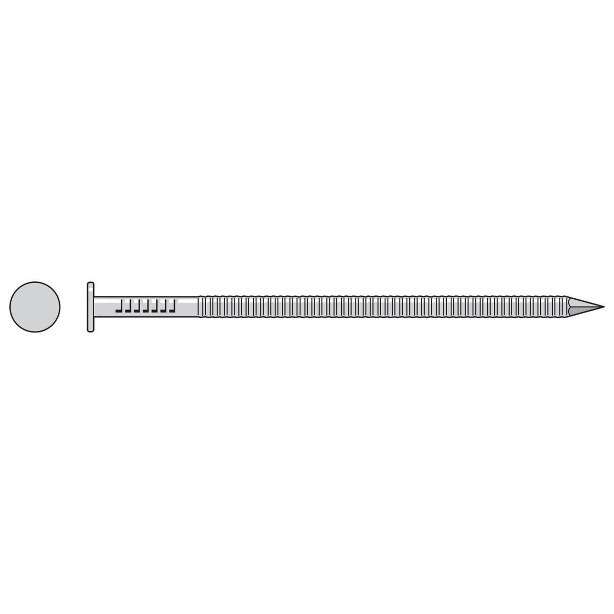 .131" x 2" 10 Gauge Annular Ring Shank Common Nail - 304 Stainless Steel, Pkg 25 Lb