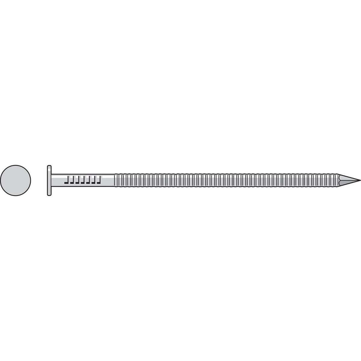 2-1/2" - 10 Gauge Annular Ring Shank Common Nail - 316 Stainless Steel, 5 lb. Pkg