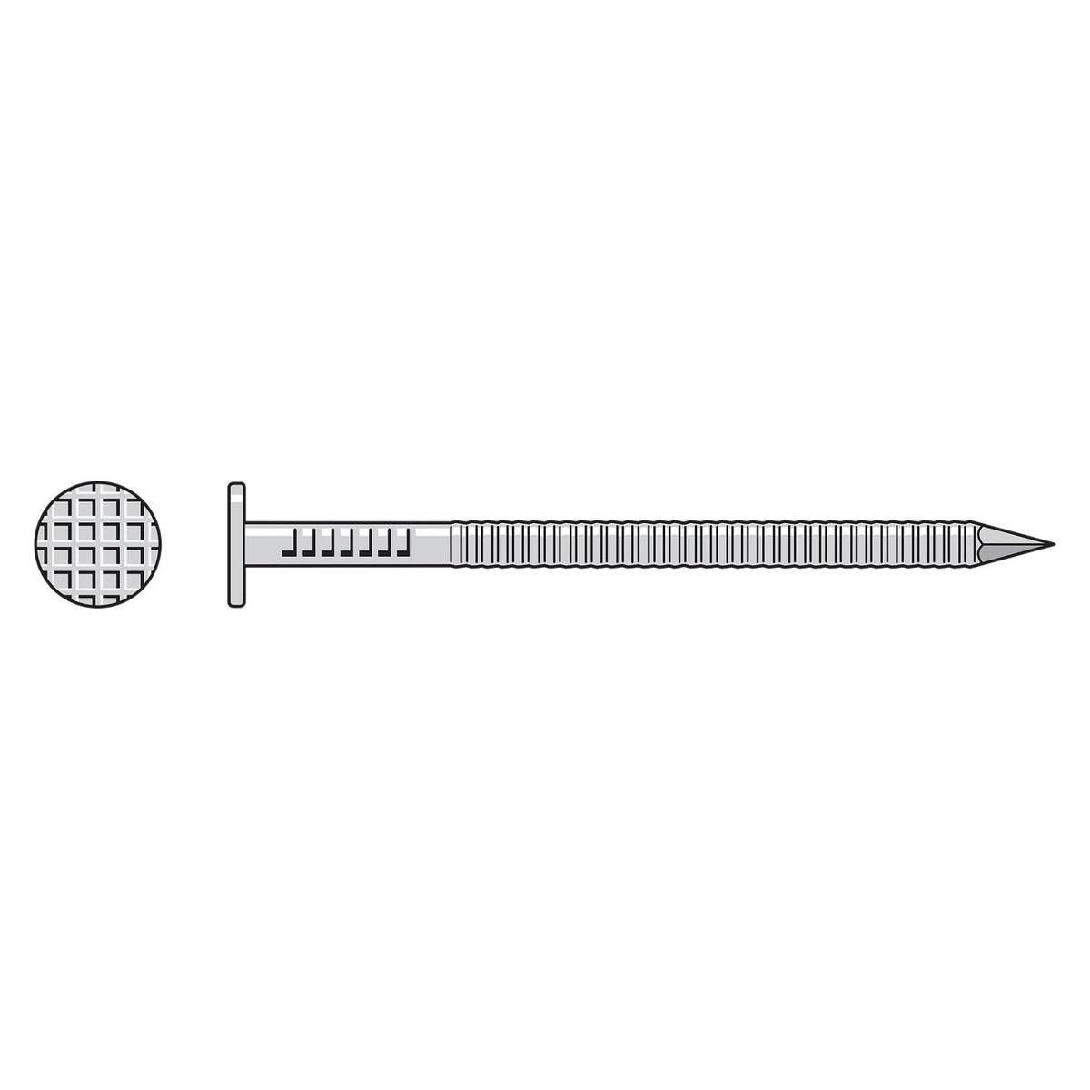 .092" x 2-1/2" 13 Gauge Siding Nail - 304 Stainless Steel, Tan, Pkg 5 Lb