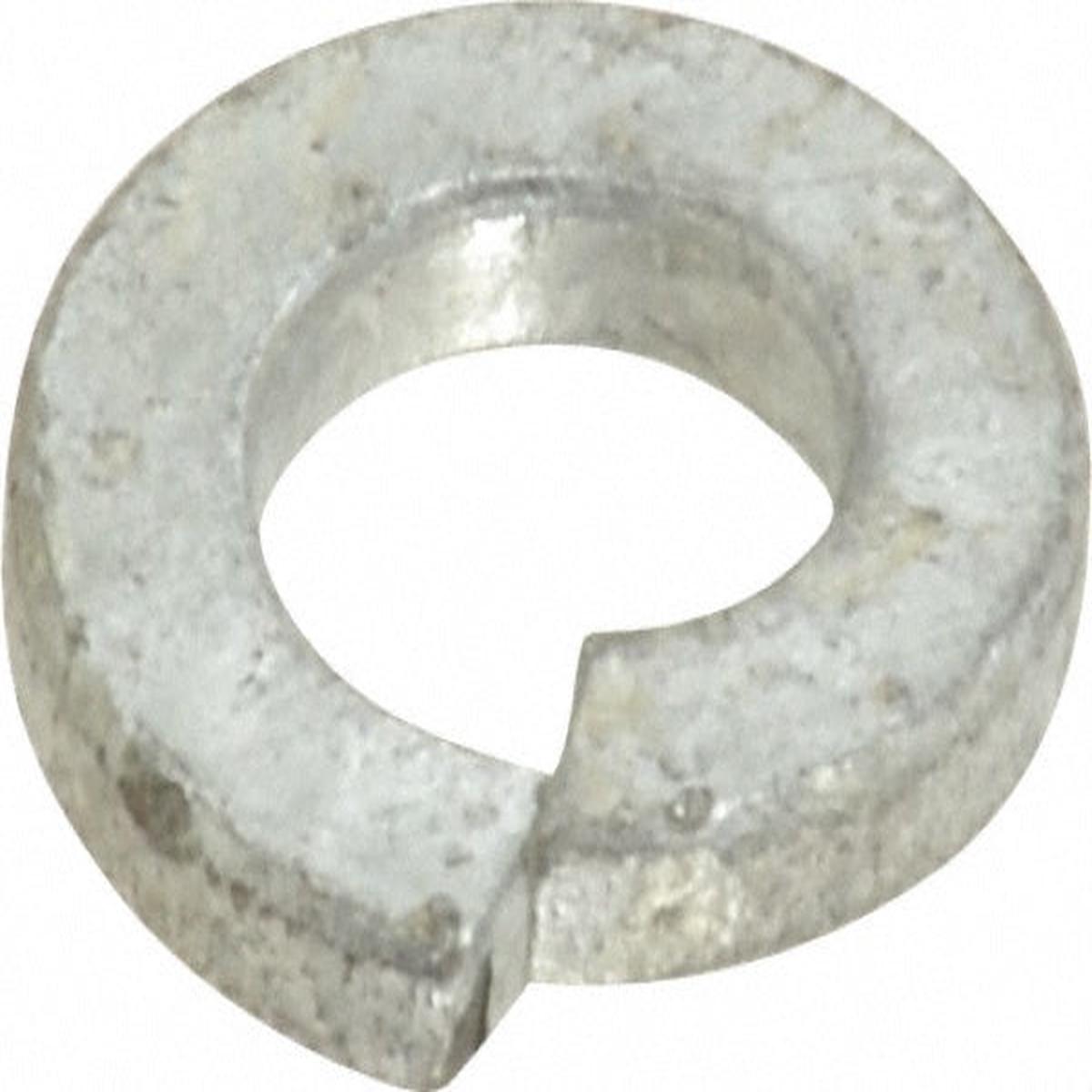 Spring Washer Galvanised